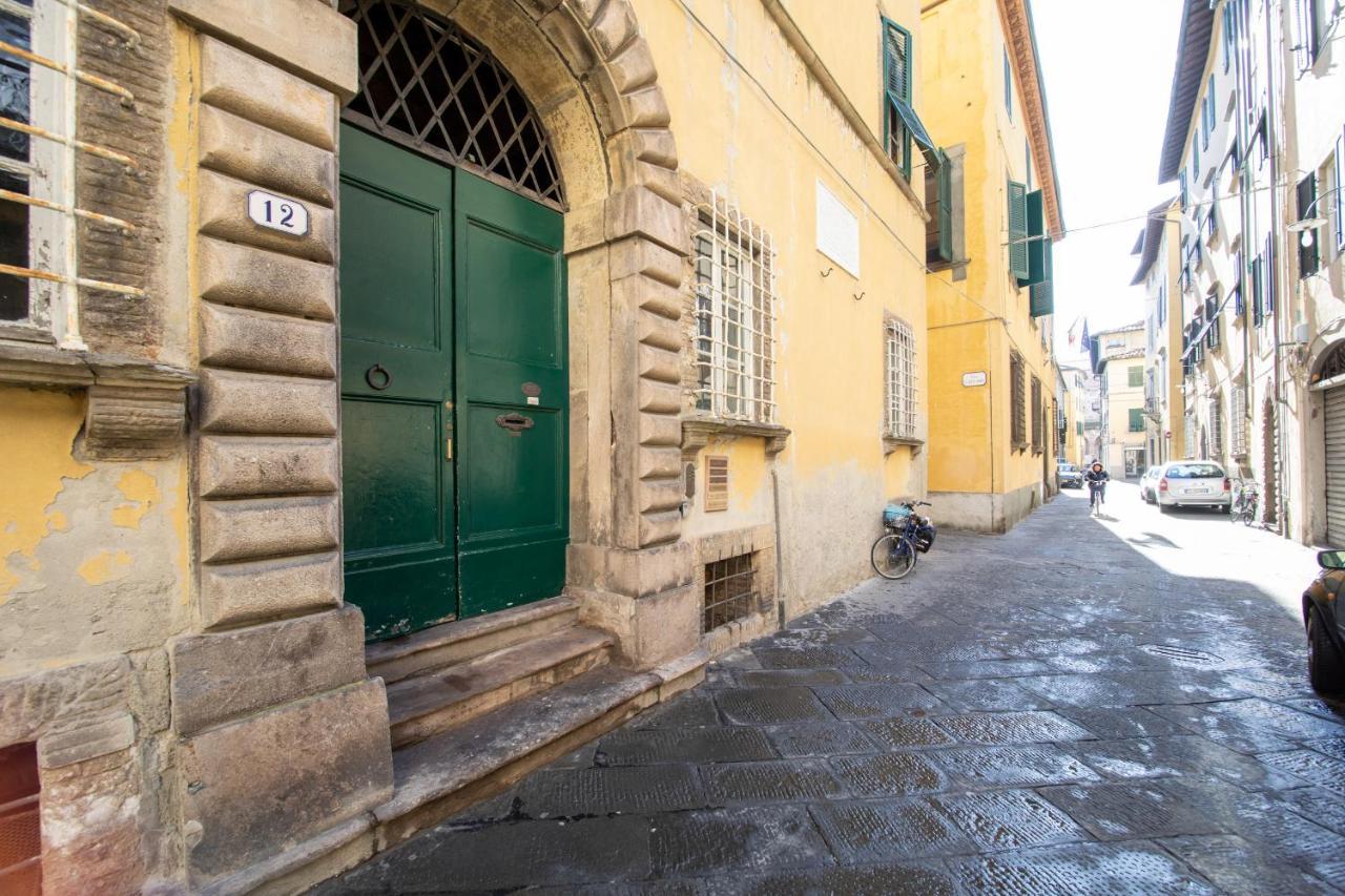 Savina's Lucca