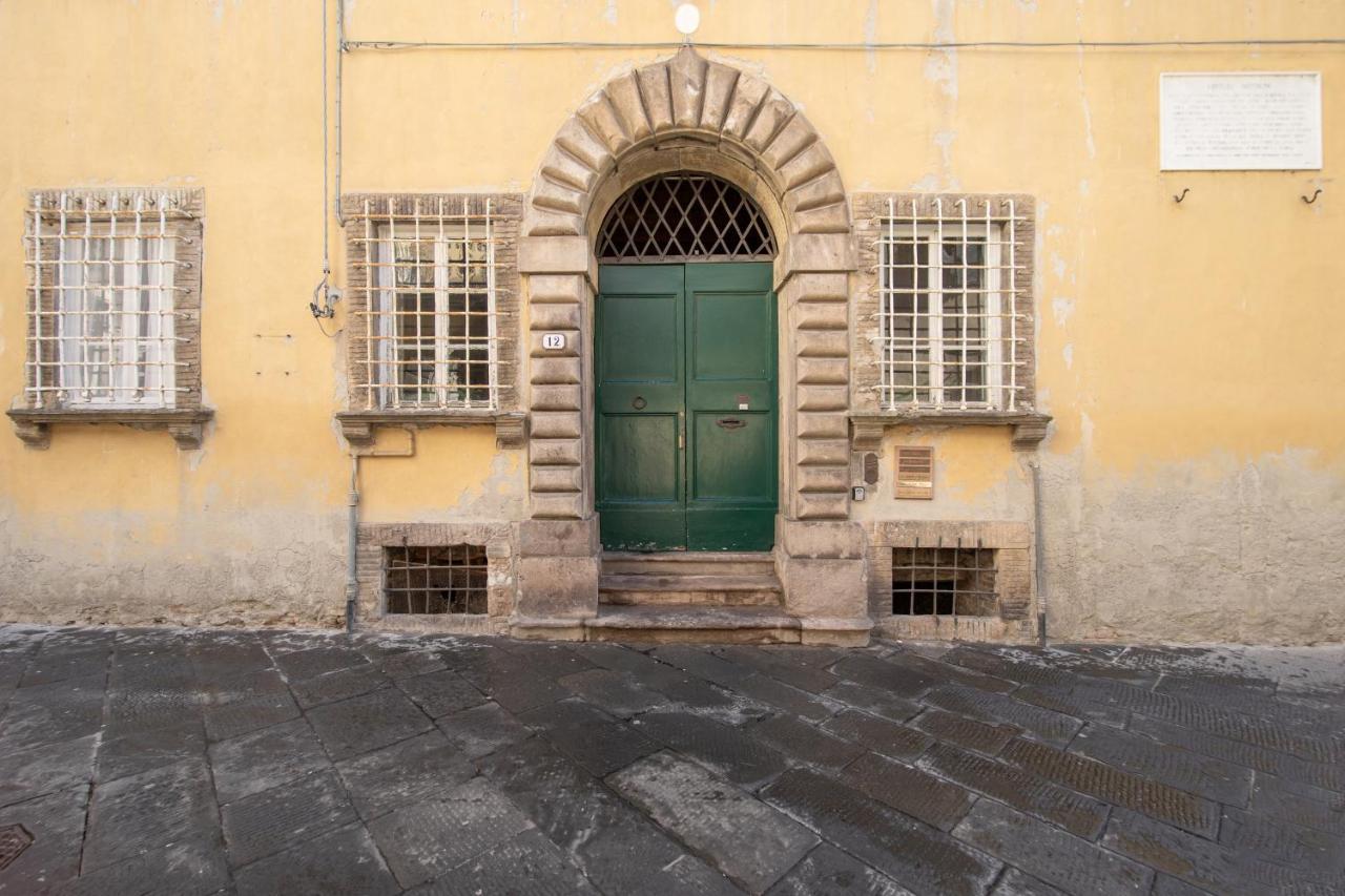 Savina's Lucca